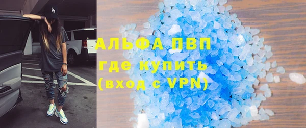 прущие грибы Аркадак