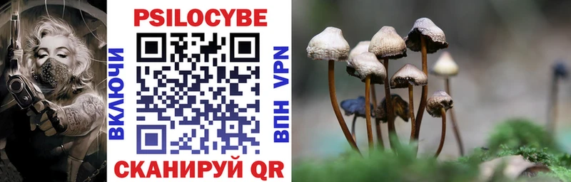 как найти   Всеволожск  Псилоцибиновые грибы Cubensis 